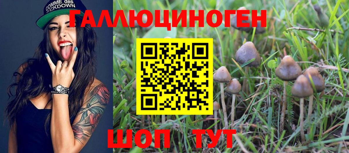 Псилоцибиновые грибы Psilocybine cubensis  Вход с VPN  Мирный 