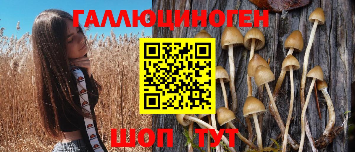 Галлюциногенные грибы GOLDEN TEACHER Мирный