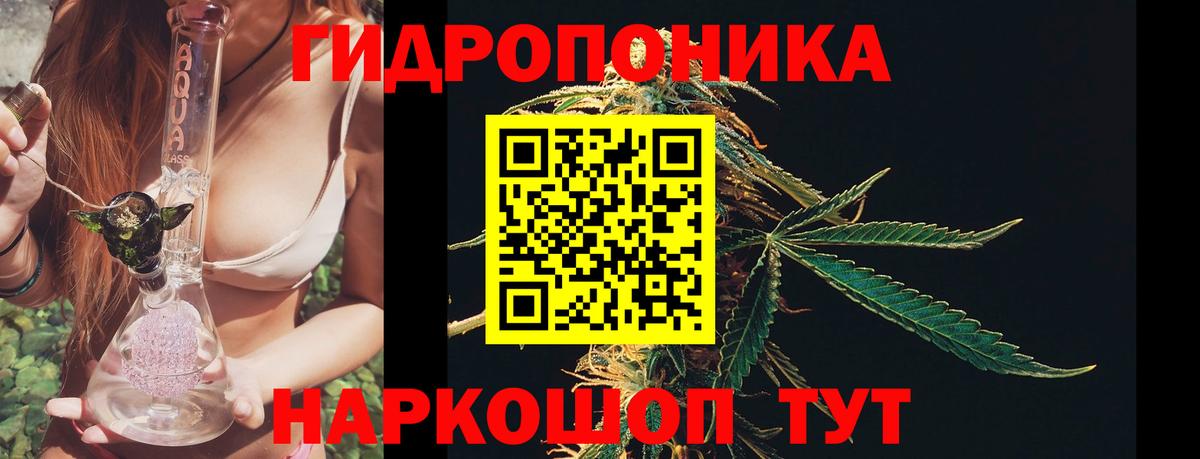 Шишки марихуана OG Kush Мирный